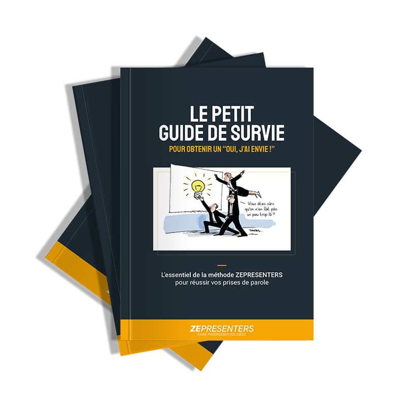 perspective du mini guide