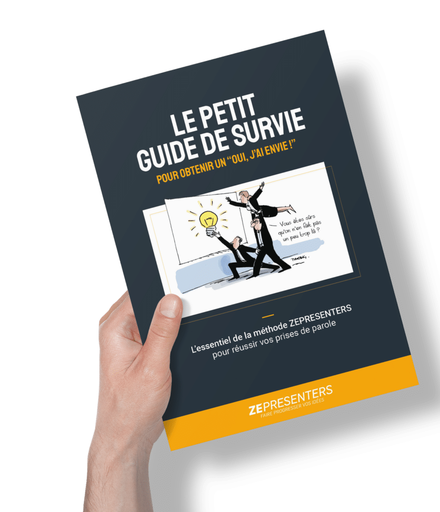 PERSPECTIVE DU MINI GUIDE