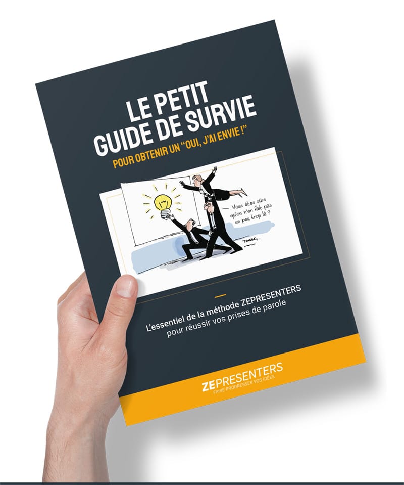 petit-guide-brandi-800